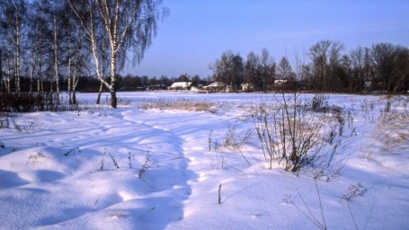 Народные приметы на 19 декабря: что можно и нельзя делать