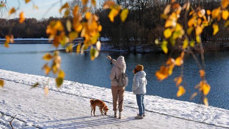 Народные приметы на 20 ноября: что можно и нельзя делать
