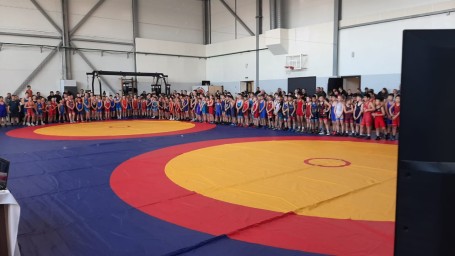 В Благовещенске прошло Открытое первенство по вольной борьбе