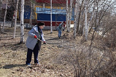 В Тынде 3 мая состоится общегородской субботник «Зеленая весна».