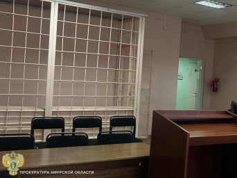 В Тынде суд заключил под стражу мужчину, обвиняемого в разбойном нападении