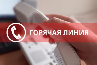 ​Горячая линия по вывозу мусора в новогодние праздники