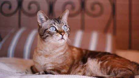 Народные приметы на 18 октября: что можно и нельзя делать