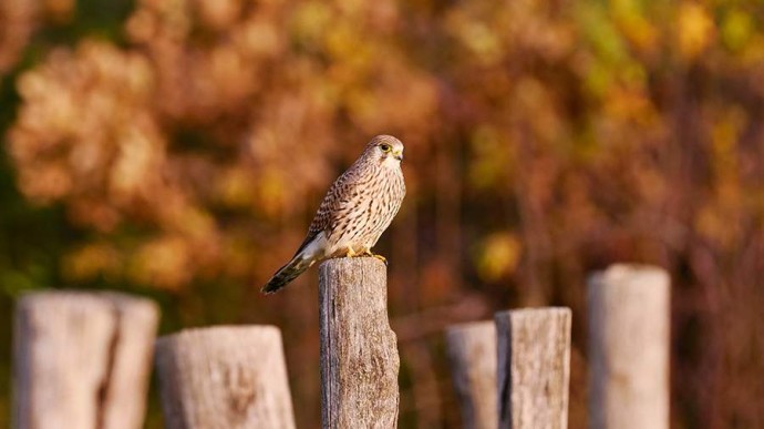Народные приметы на 27 ноября: что можно и нельзя делать Народные приметы на 27 ноября: что можно и нельзя делать