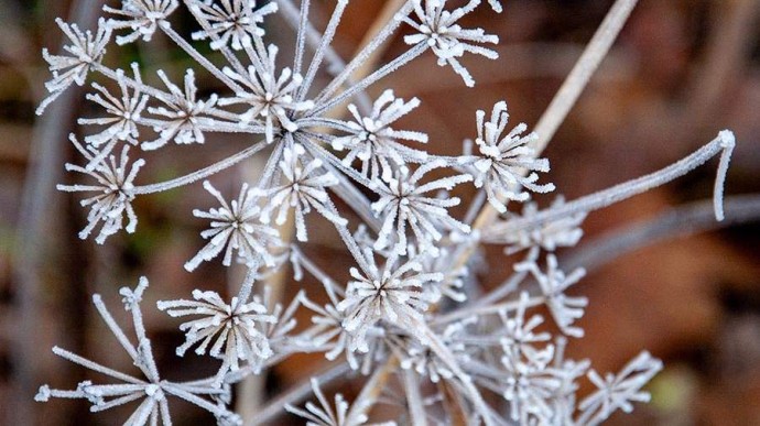Народные приметы на 18 ноября: что можно и нельзя делать