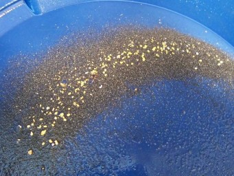 Суд в Тынде вынес приговор старателю за хищение золотосодержащего шлиха