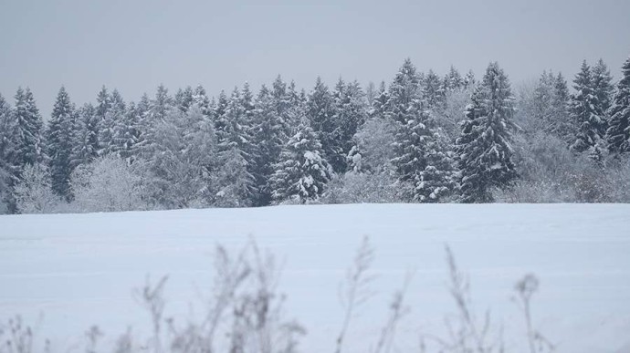 Народные приметы на 11 декабря: что можно и нельзя делать