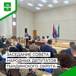 Заседание Совета народных депутатов Тындинского муниципального округа