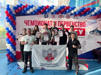 Чемпионат и первенство Амурской области по боксу