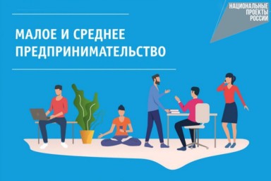 Реализация нацпроекта способствует росту числа предпринимателей и самозанятых в Амурской области