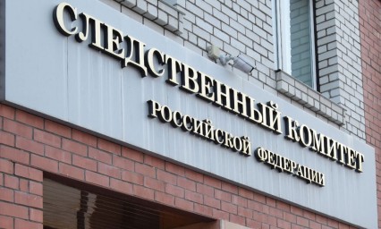 Житель Тындинского округа убил сожительницу и предстанет перед судом.