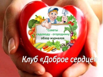 Неотложная помощь дачным растениям и ошибки в уходе