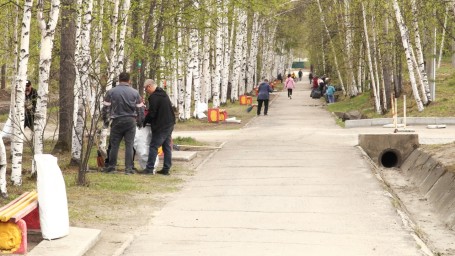 В Тынде 31 мая состоится общегородской субботник «Зеленая весна»