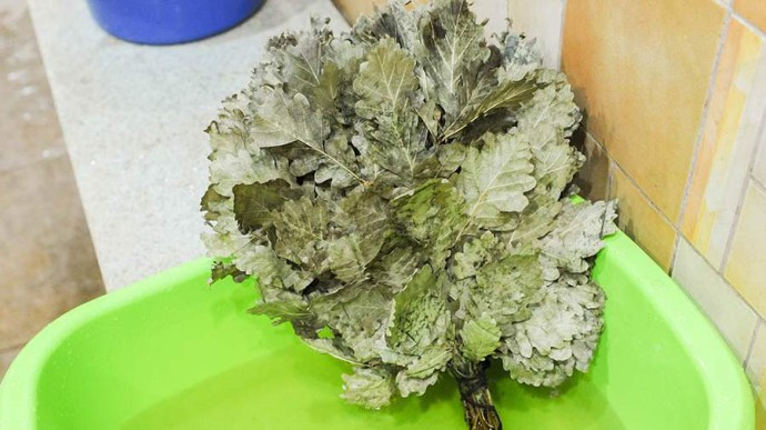 Особый праздник 30 ноября — Григорий Зимоуказатель: история, традиции, приметы Особый праздник 30 ноября — Григорий Зимоуказатель: история, традиции, приметы