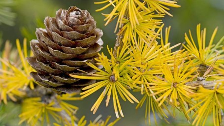 Народные приметы на 2 ноября: что можно и нельзя делать