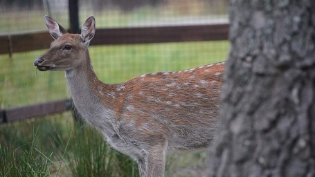 14 октября — День работников заповедного дела: история и традиции, как поздравить