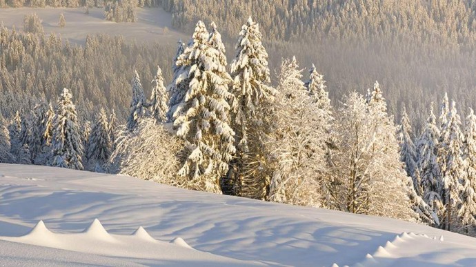 Народные приметы на 19 ноября: что можно и нельзя делать Народные приметы на 19 ноября: что можно и нельзя делать