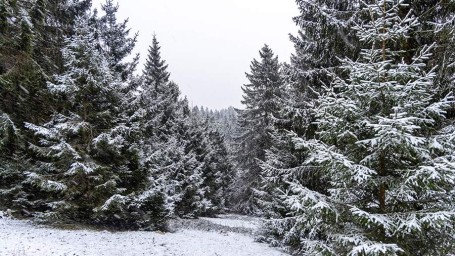 Особый народный праздник 23 октября — Евлампий Зимоуказатель: история, традиции, приметы