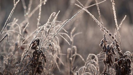 Особый народный праздник 15 октября — Куприян и Устинья: история, традиции, приметы