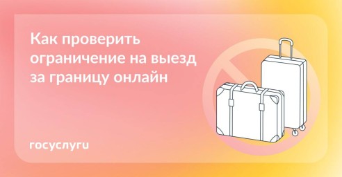 Проверьте запрет на выезд перед поездкой за рубеж