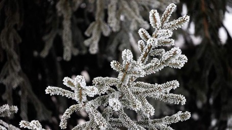 Народные приметы на 16 декабря: что можно и нельзя делать