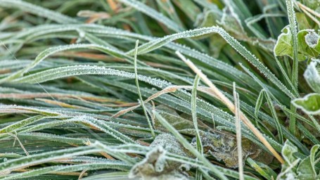 Особый народный праздник 24 октября — Филиппова канитель: история, традиции, приметы