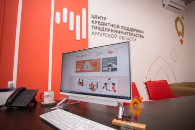 Амурский бизнес в приоритетных сферах поддержат льготными займами от 1%