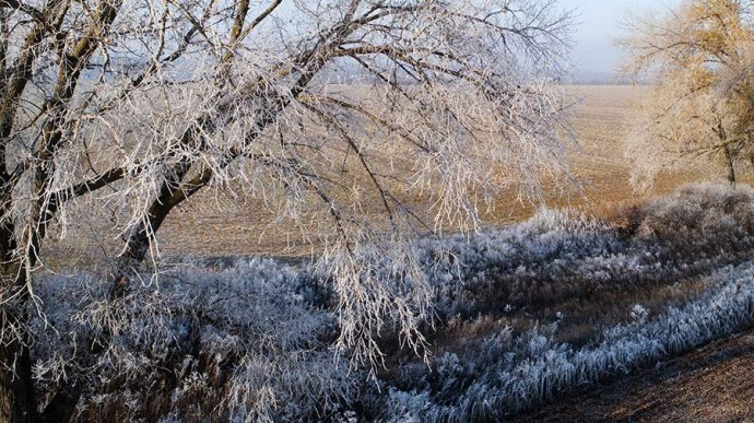 Народные приметы на 10 ноября: что можно и нельзя делать Народные приметы на 10 ноября: что можно и нельзя делать