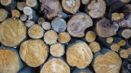 Народные приметы на 22 октября: что можно и нельзя делать в день Якова Дровопильца