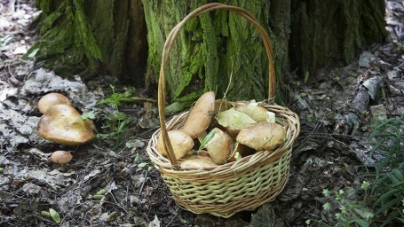 Народные приметы на 22 октября: что можно и нельзя делать