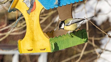 Народные приметы на 12 ноября: что можно и нельзя делать