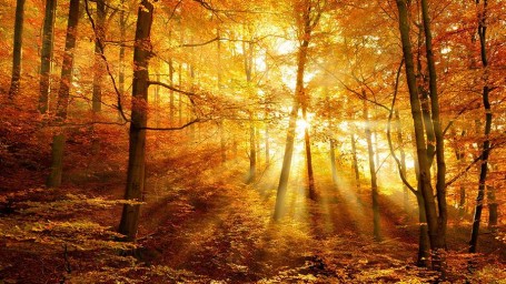 Народные приметы на 25 октября: что можно и нельзя делать