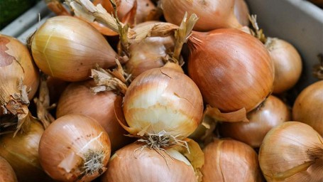 Особый праздник 31 октября — Лука Голодный: история, традиции, приметы