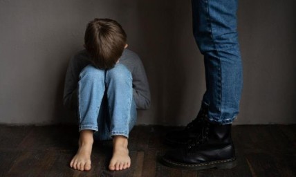 В ПРИАМУРЬЕ ОСУДИЛИ ИЗВРАЩЕНЦА, ЖЕРТВОЙ КОТОРОГО СТАЛ 7-ЛЕТНИЙ МАЛЬЧИК