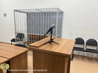 Грабеж в Тынде: Рецидивист осужден на 3,5 года колонии