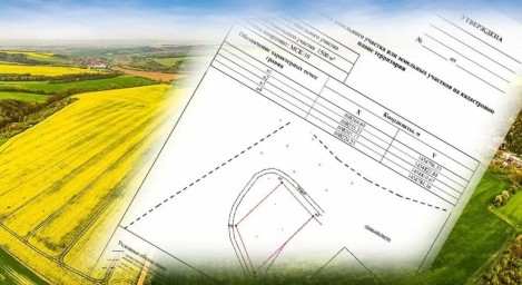 Утвердить схемы расположения земельного участка на кадастровом плане можно дистанционно