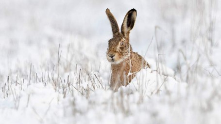 Народные приметы на 26 ноября: что можно и нельзя делать