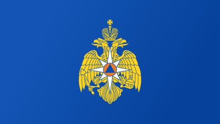 У добровольных пожарных Амурской области праздник