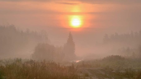Особый праздник 25 июня — Петр Солнцеворот: история, традиции и приметы