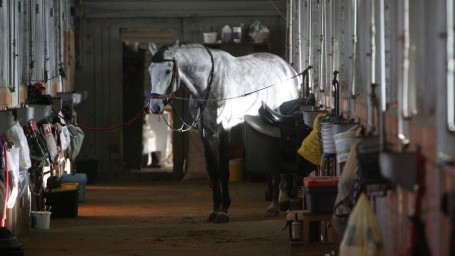 Народные приметы на 5 января: что можно и нельзя делать