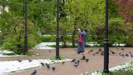 Праздник Весны 1 марта: легенда и традиции