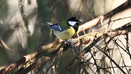 Народные приметы на 23 января: что можно и нельзя делать