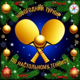 Новогодний турнир юных спортсменов!
