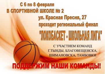 Региональный финал "ЛОКОБАСКЕТ - школьная лига"