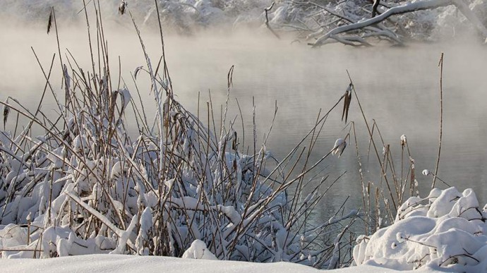 Народные приметы на 12 декабря: что можно и нельзя делать Народные приметы на 12 декабря: что можно и нельзя делать