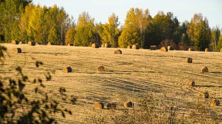 Народные приметы на 2 августа: что можно и нельзя делать