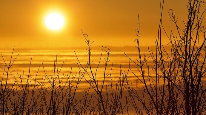 Народные приметы на 15 февраля: что можно и нельзя делать Народные приметы на 15 февраля: что можно и нельзя делать