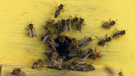 Народные приметы на 28 апреля: что можно и нельзя делать