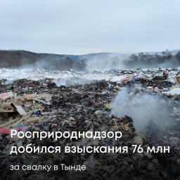 76 млн рублей: Росприроднадзор добился взыскания за свалку в Тынде