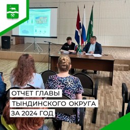 Отчет главы Тындинского муниципального округа